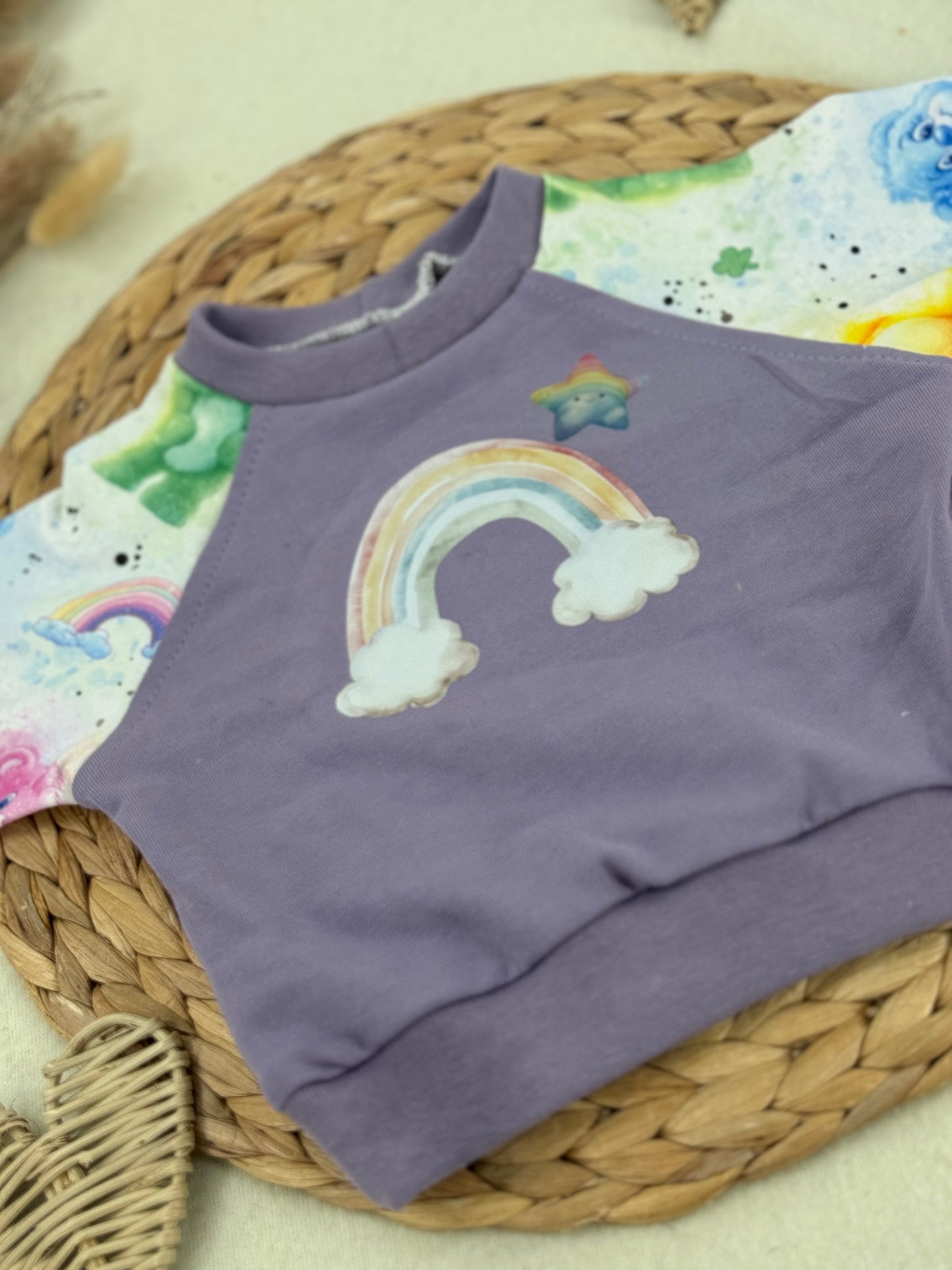 Raglan Pulli Regenbogenbande Größe 50