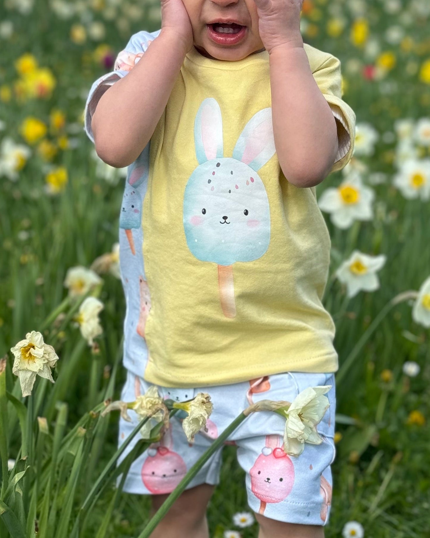 Vorbestellung: Bügelbild Ice Cream