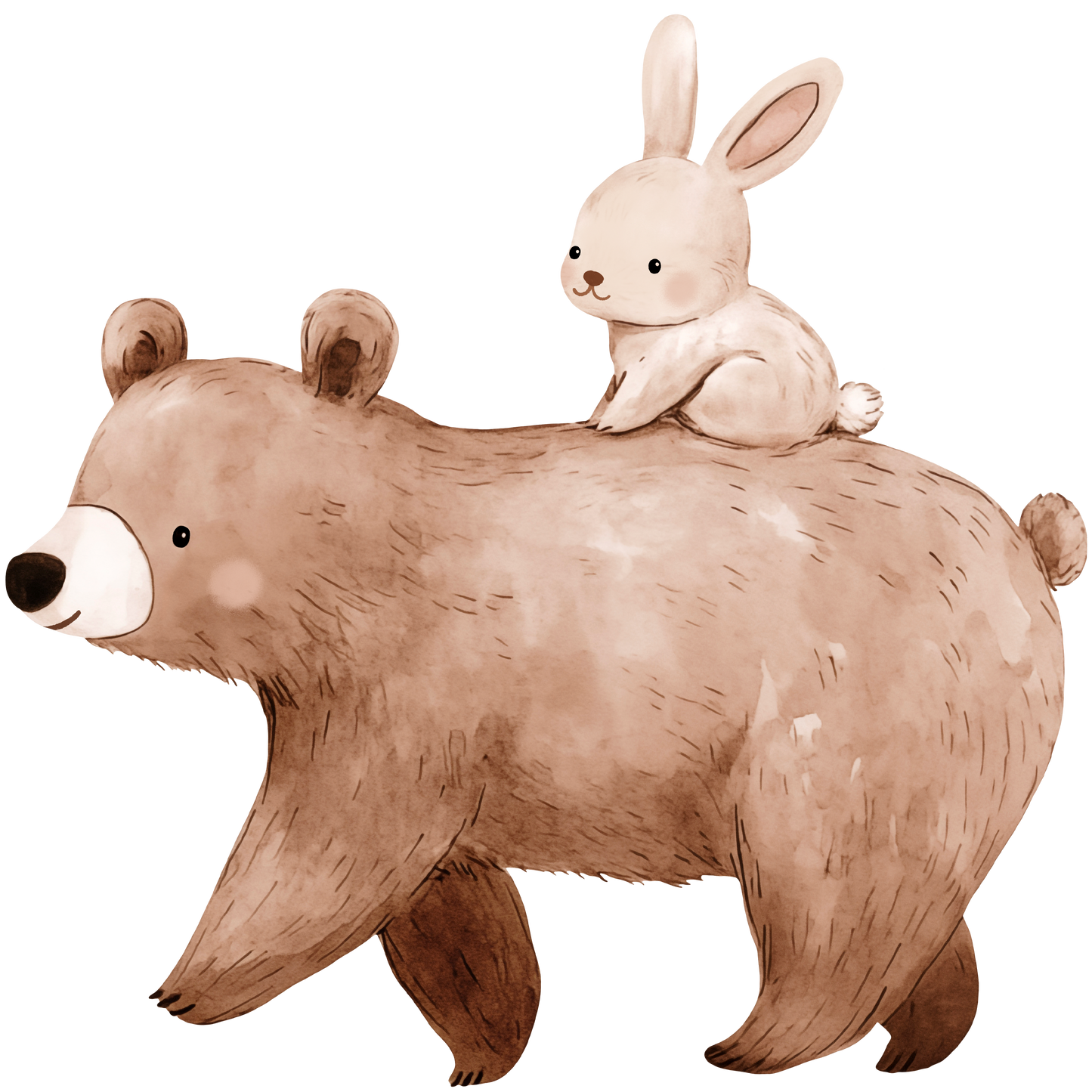 Bruno & Hoppel