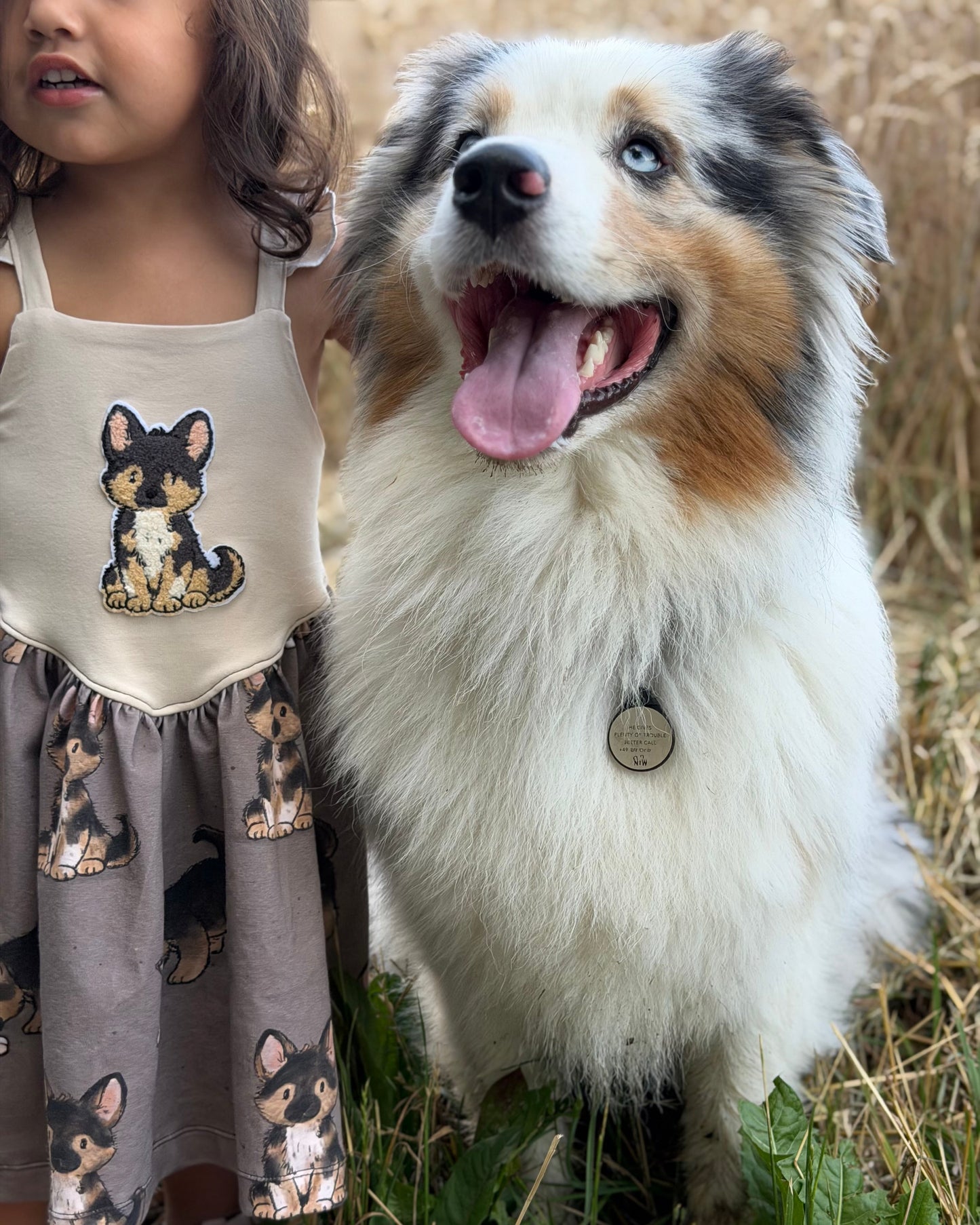 Chenille Patch Adonis Schäferhund