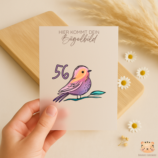 Größenlabel Spring Colors